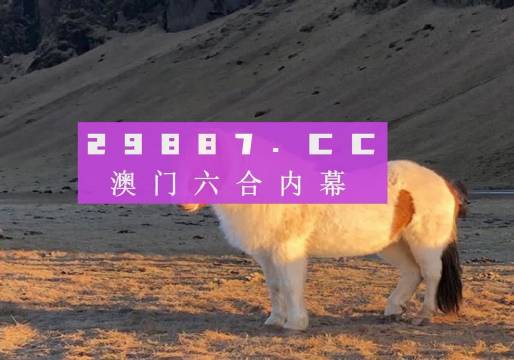 今晩澳门六开奖结果直播，探索彩票直播的魅力与期待，澳门今晚六开奖直播探索，彩票直播的魅力与期待