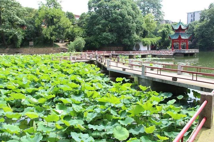 国防科技大学校区分布概览，国防科技大学校区分布概览介绍