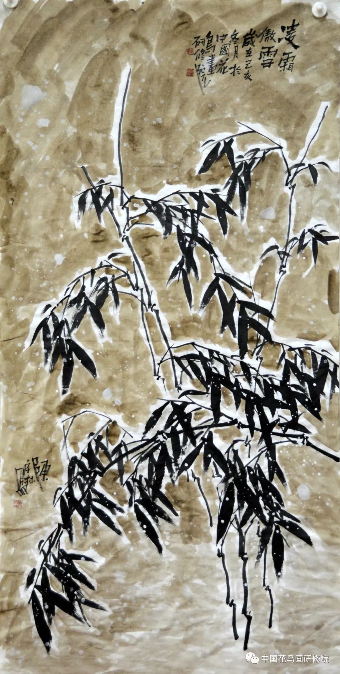 揭秘生肖传奇，林中高于王中王的独特生肖——解析解一肖，揭秘生肖传奇，揭秘林中高于王中王的独特生肖——独家解析解一肖