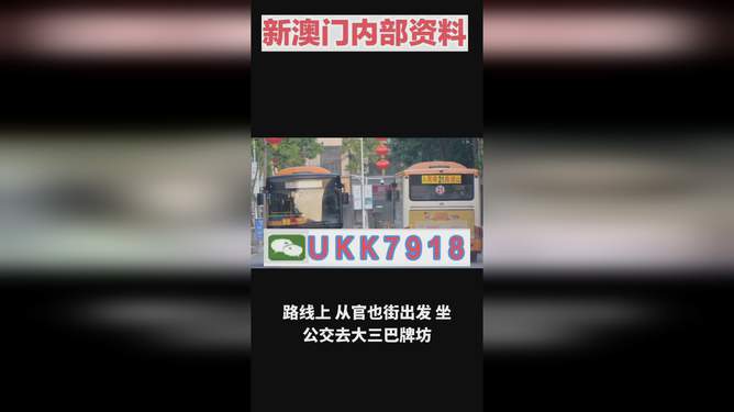澳门特马今晚开奖，探索彩票背后的秘密与策略（SEO优化文章），澳门特马今晚开奖，揭秘彩票背后的秘密与策略之道（SEO文章）