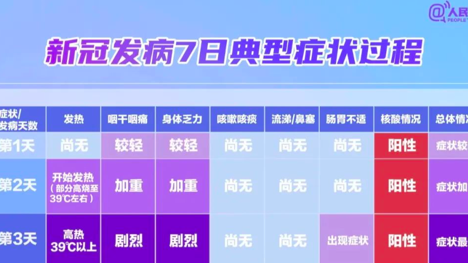 新澳一码一肖使用方法详解，新澳一码一肖使用指南