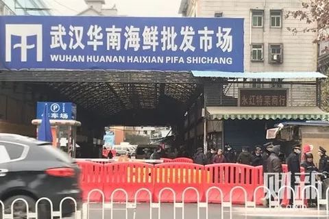 华南海鲜市场