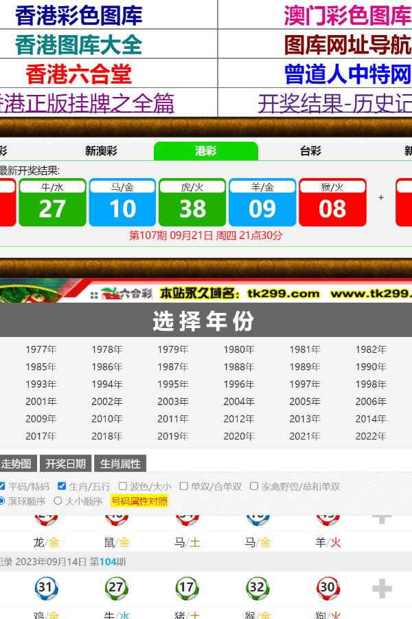 揭秘香港王中王，探寻一肖中特的奥秘，揭秘香港王中王，一肖中特的神秘奥秘