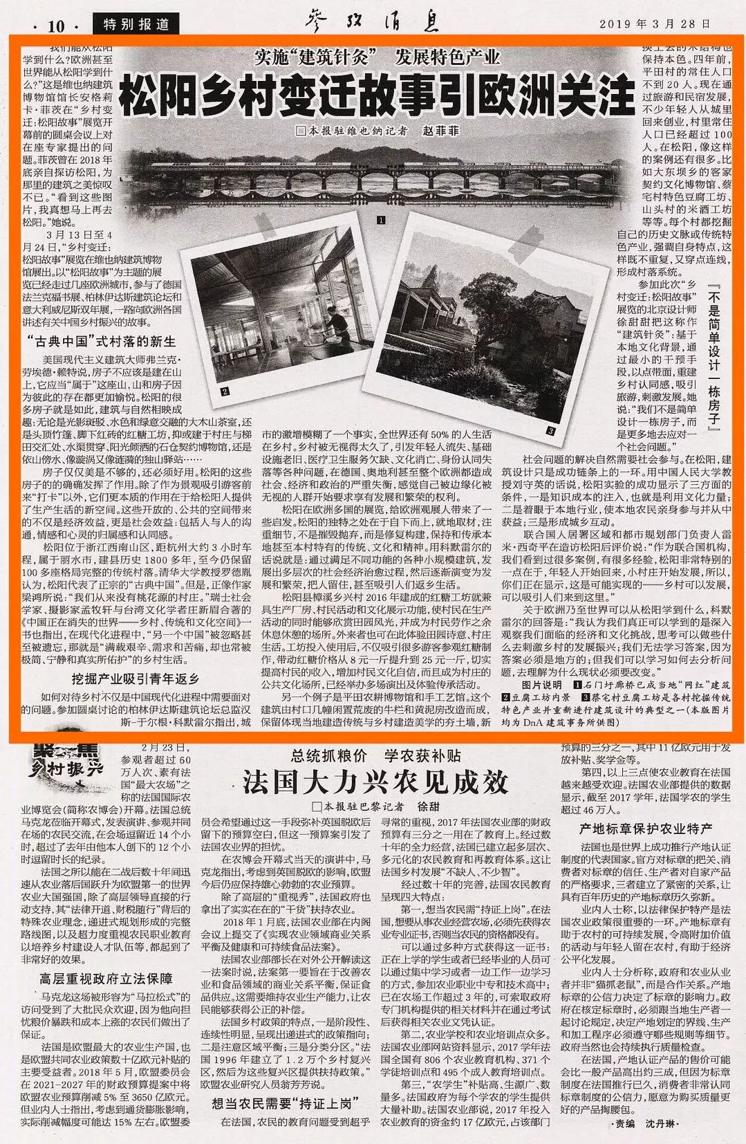 松阳今日重大新闻全面解析，松阳今日重大新闻深度解读