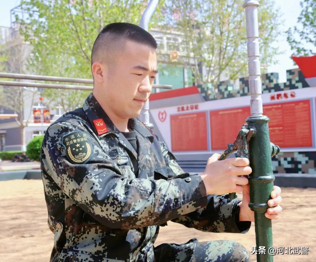 河北省武警总队，职责、历史与贡献的深入探讨，河北省武警总队，职责、历史与卓越贡献的探究