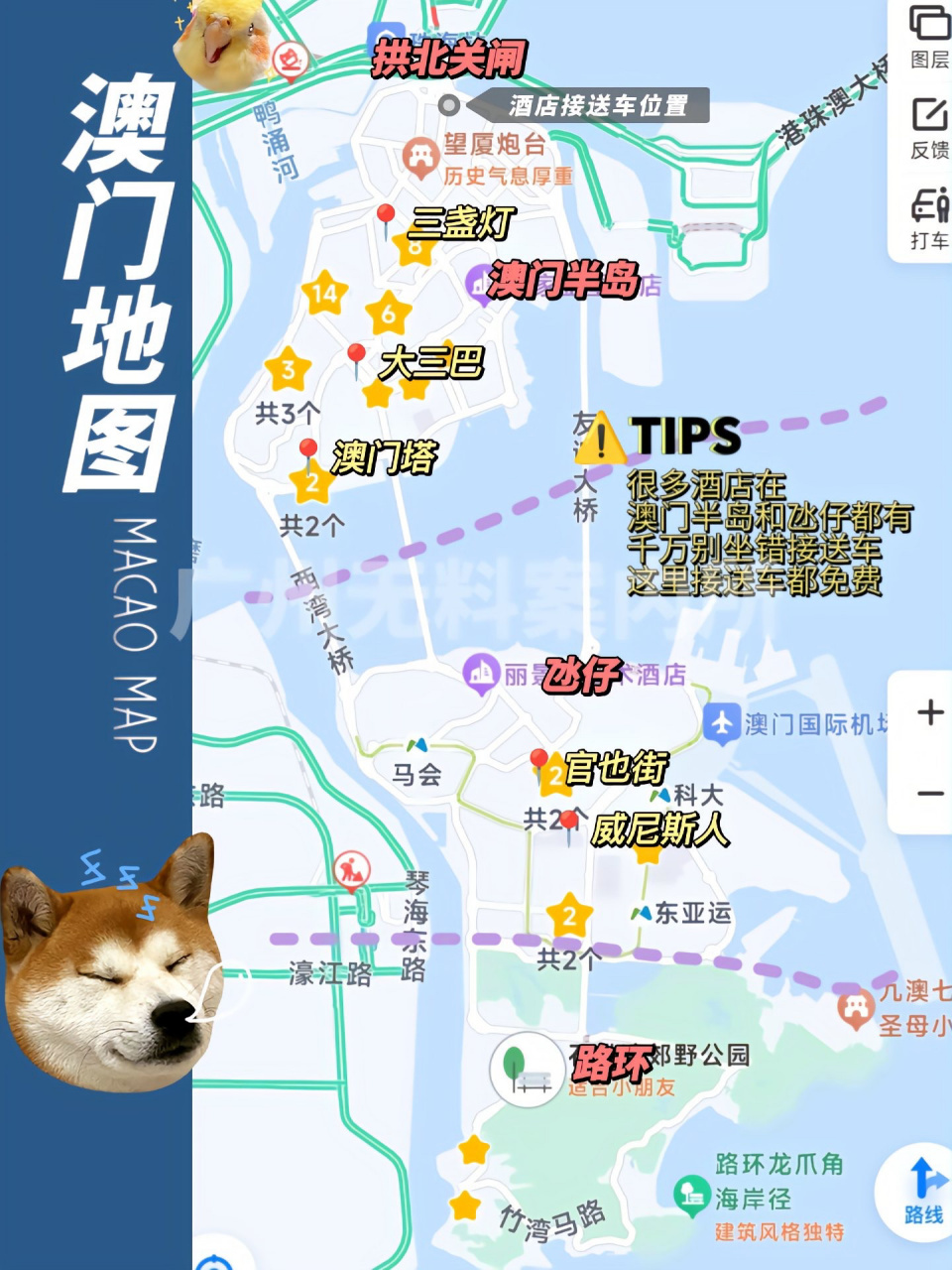 探索未来澳门，2025年澳门旅游资讯全新解读，澳门全新旅游资讯解读，探索未来澳门，展望2025年旅游新篇章