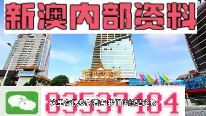 新澳门资料大全正版资料2025，全面解析与深度探索，新澳门资料大全正版资料深度解析与探索，2025年全面视角