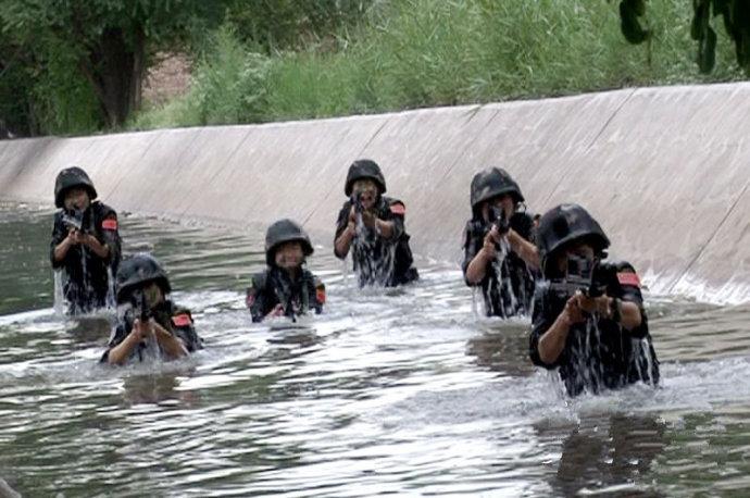 中国女特种兵的数量，神秘而坚韧的力量，中国女特种兵，神秘而强大的力量
