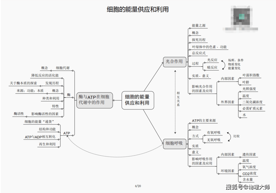 澳门三期内必开一肖——揭秘生肖彩票的神秘面纱，揭秘澳门生肖彩票的神秘面纱，三期内必开一肖的真相