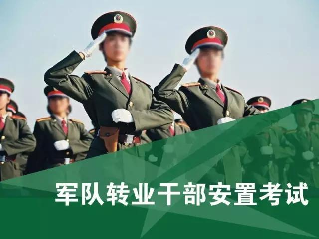 退役军官军转论坛网，连接过去与未来的桥梁，退役军官军转论坛网，连接军旅岁月与未来之路的桥梁