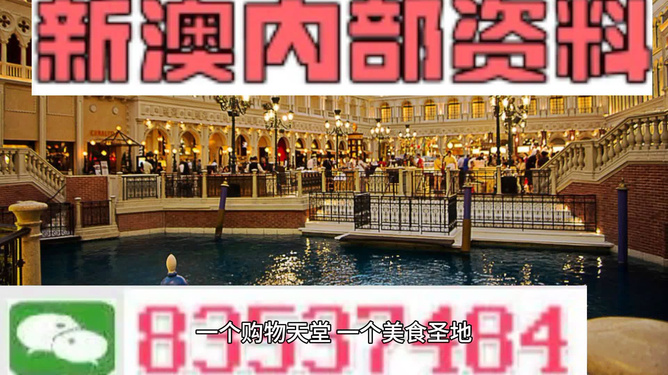 新澳门内部正版资料大全——探索与解析，澳门内部正版资料大全，深度探索与解析