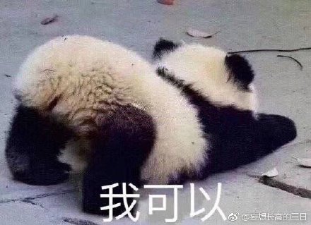 揭秘刘伯温四不像平直一肖，传奇人物与神秘预言的SEO解读，刘伯温四不像平直一肖，传奇人物与神秘预言的解读揭秘