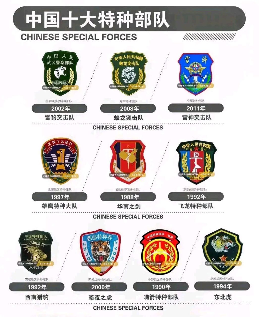 中国几大军区特种部队，力量与荣耀的象征，中国几大军区特种部队，力量与荣耀的典范