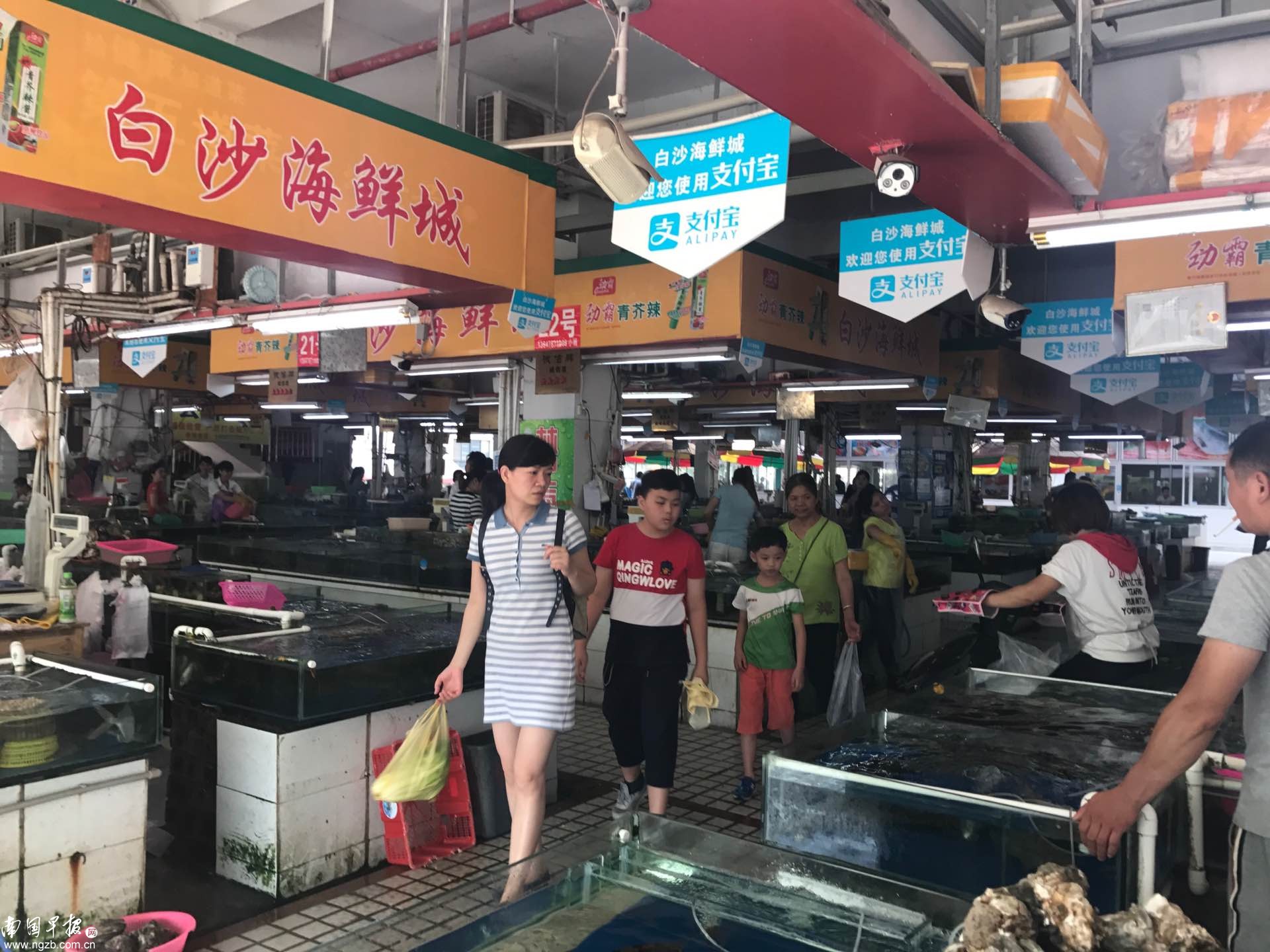华南海鲜市场女老板照片，探寻背后的故事与神秘魅力，华南海鲜市场女老板的神秘魅力与背后故事探索