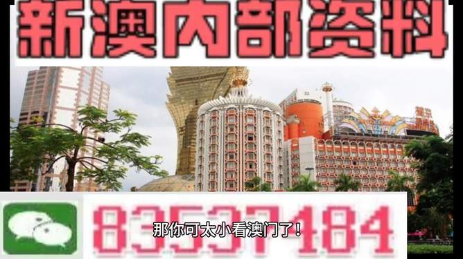 澳门内部资料精准大全2023，深度探索与最新资讯整合，澳门内部资料深度探索与最新资讯整合 2023