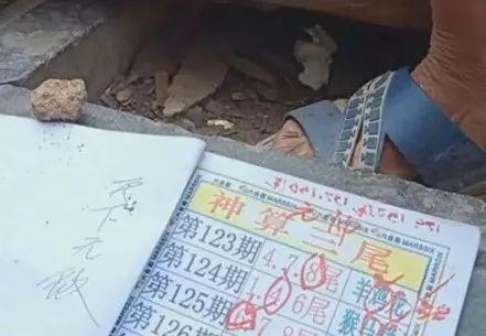 揭秘2025六开彩天天免费资料大全——获取最新彩票资讯与技巧全攻略，揭秘2025六开彩，最新彩票资讯与技巧全攻略免费资料大全