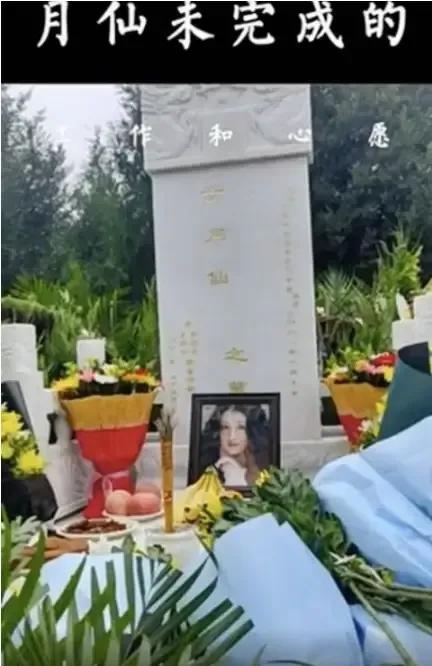 原因分析/解析
