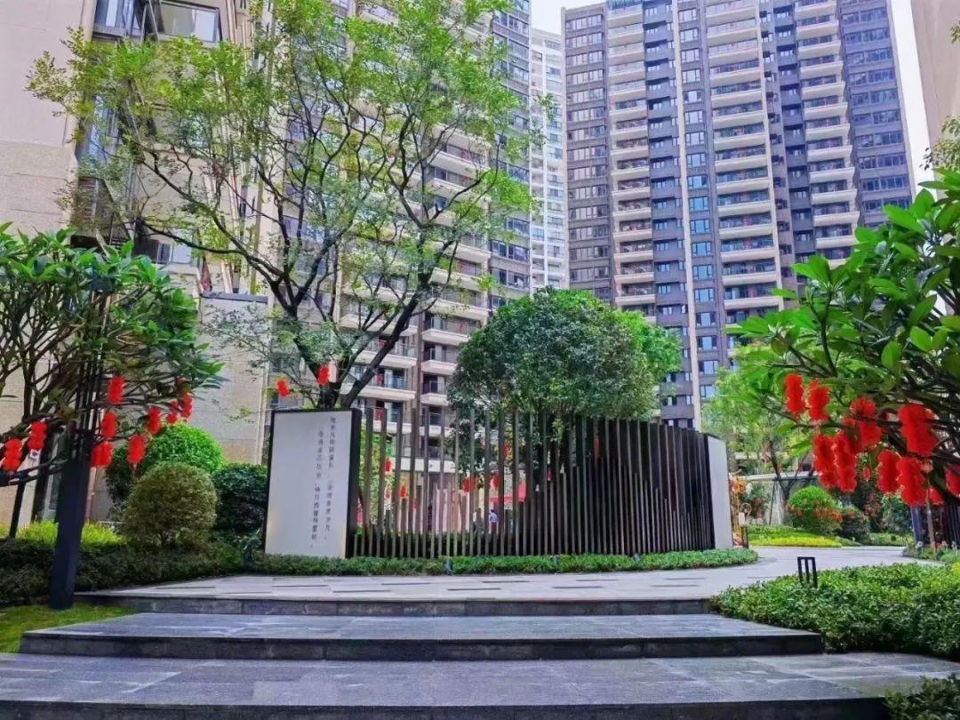 直-15交付，深度解析与最佳实践，直-15交付，深度解析与最佳实践指南