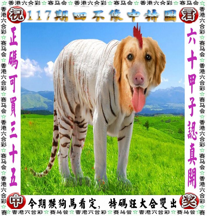 王中王四不像论坛一肖，深度探讨与SEO优化策略，王中王四不像论坛一肖，深度SEO优化策略探讨