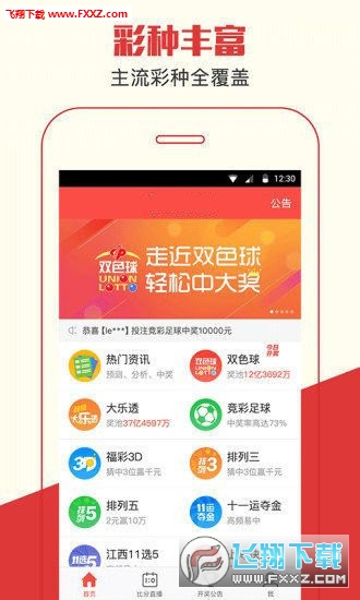 王中王一肖恃com，探索与解析，王中王一肖恃com，深度探索与解析