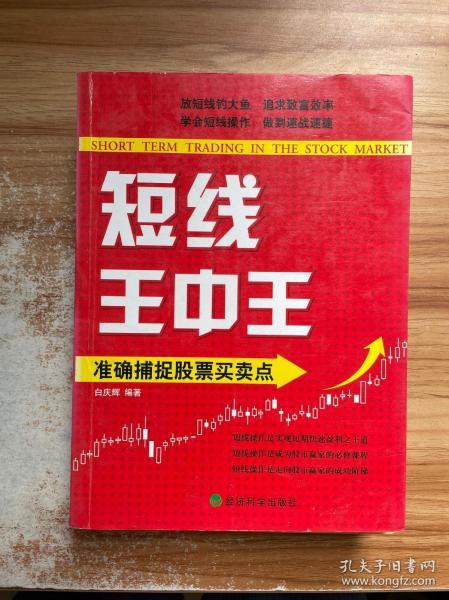 王中王平特一肖必，揭秘背后的故事与SEO策略，揭秘王中王平特一肖背后的故事与SEO策略真相