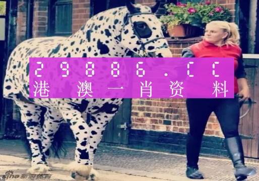 澳门王中王，揭秘一肖一特一中奥秘，澳门王中王揭秘生肖秘密，一肖一特一中奥秘探秘