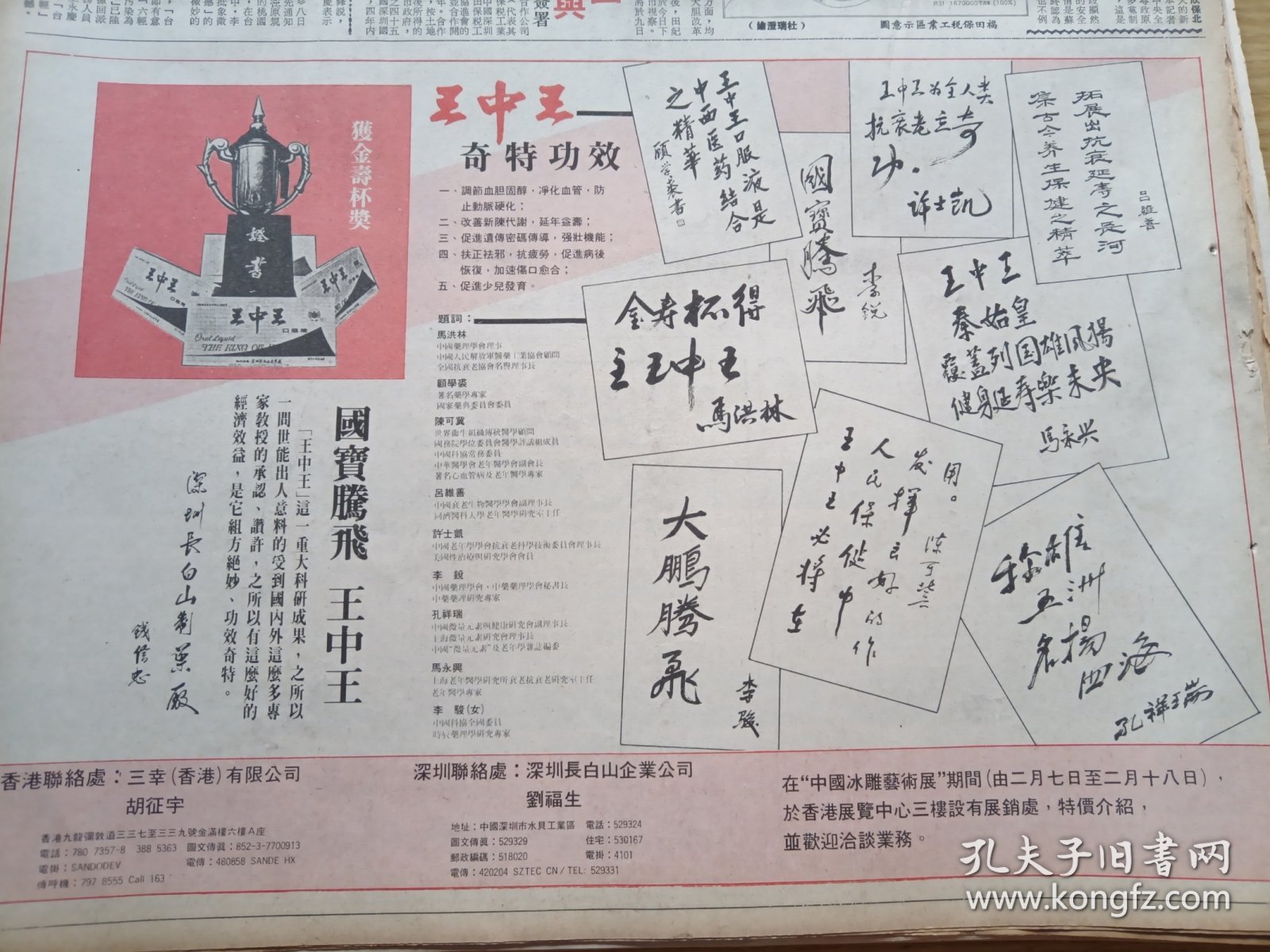 王中王心水平特一肖图，深度解析与SEO优化策略，王中王心水平特一肖图深度解析与SEO优化策略探讨