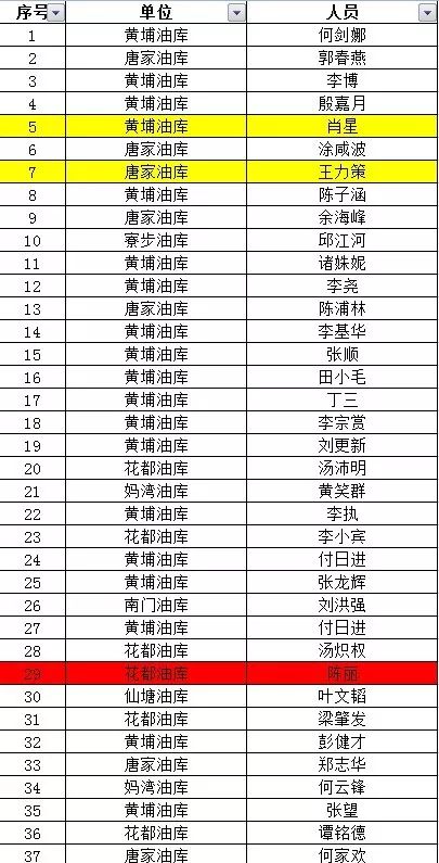 2019年中将名单，揭晓精英荟萃的荣耀时刻，2019年中将名单揭晓，精英荟萃的荣耀时刻