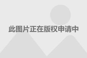 中国96式坦克研制历程深度解析，中国96式坦克研制历程深度探究