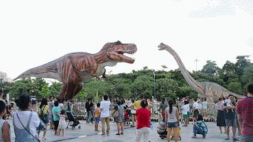 空军第十五旅，荣耀与担当的象征，空军第十五旅，荣耀与担当的空中力量象征