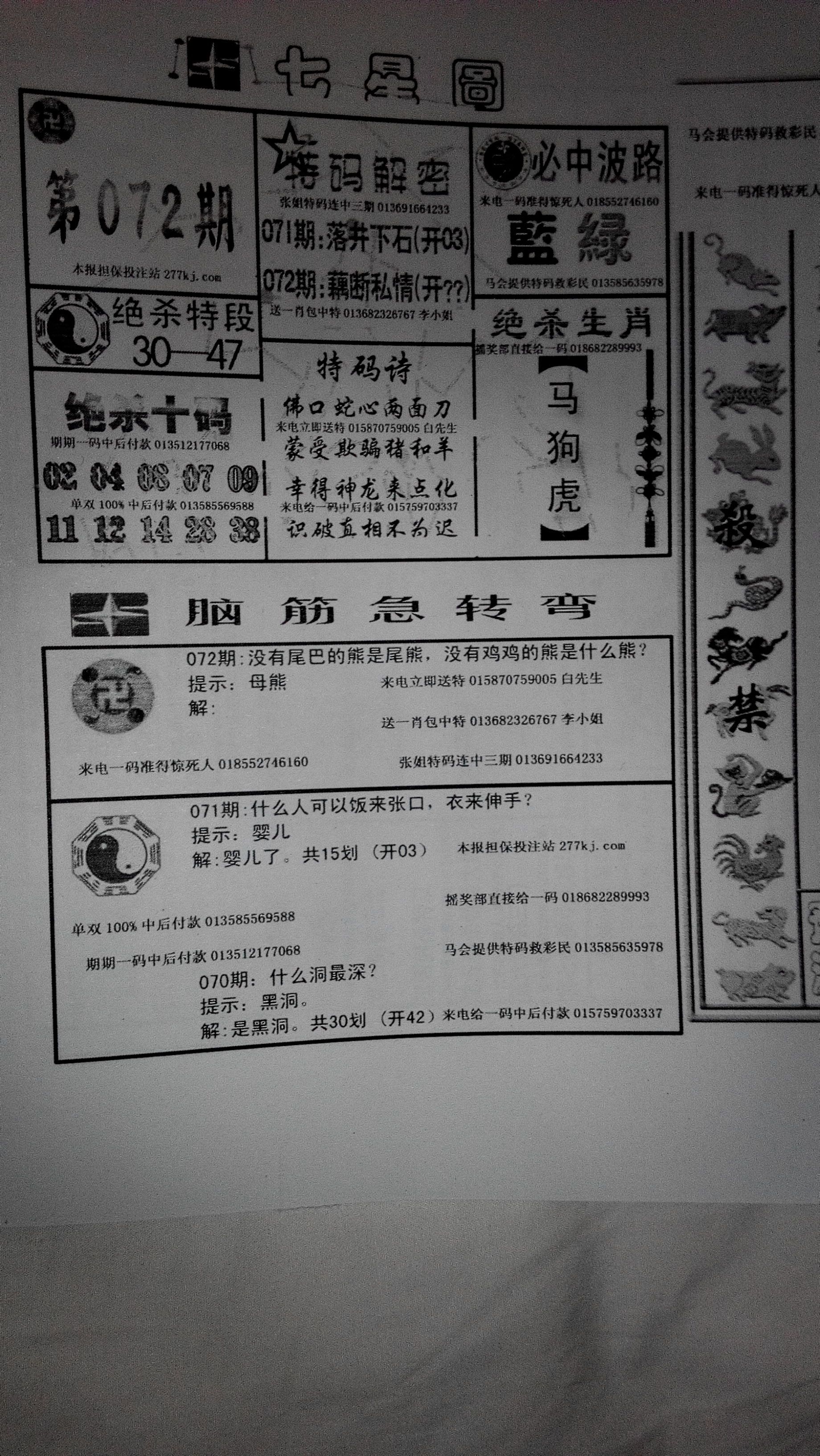 王中王315期指一生肖，揭秘生肖运势与人的未来关联，揭秘生肖运势关联未来，王中王生肖预测315期解读