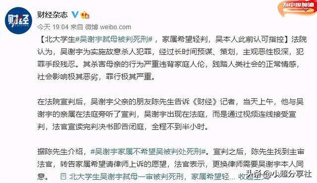 吴谢宇弑母案二审判决书深度解析，吴谢宇弑母案二审判决书深度剖析与解读