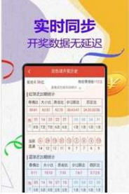 探索域名www王中王平特一肖c.m背后的故事与SEO策略，揭秘域名www王中王平特一肖c.m背后的故事与SEO优化策略探索