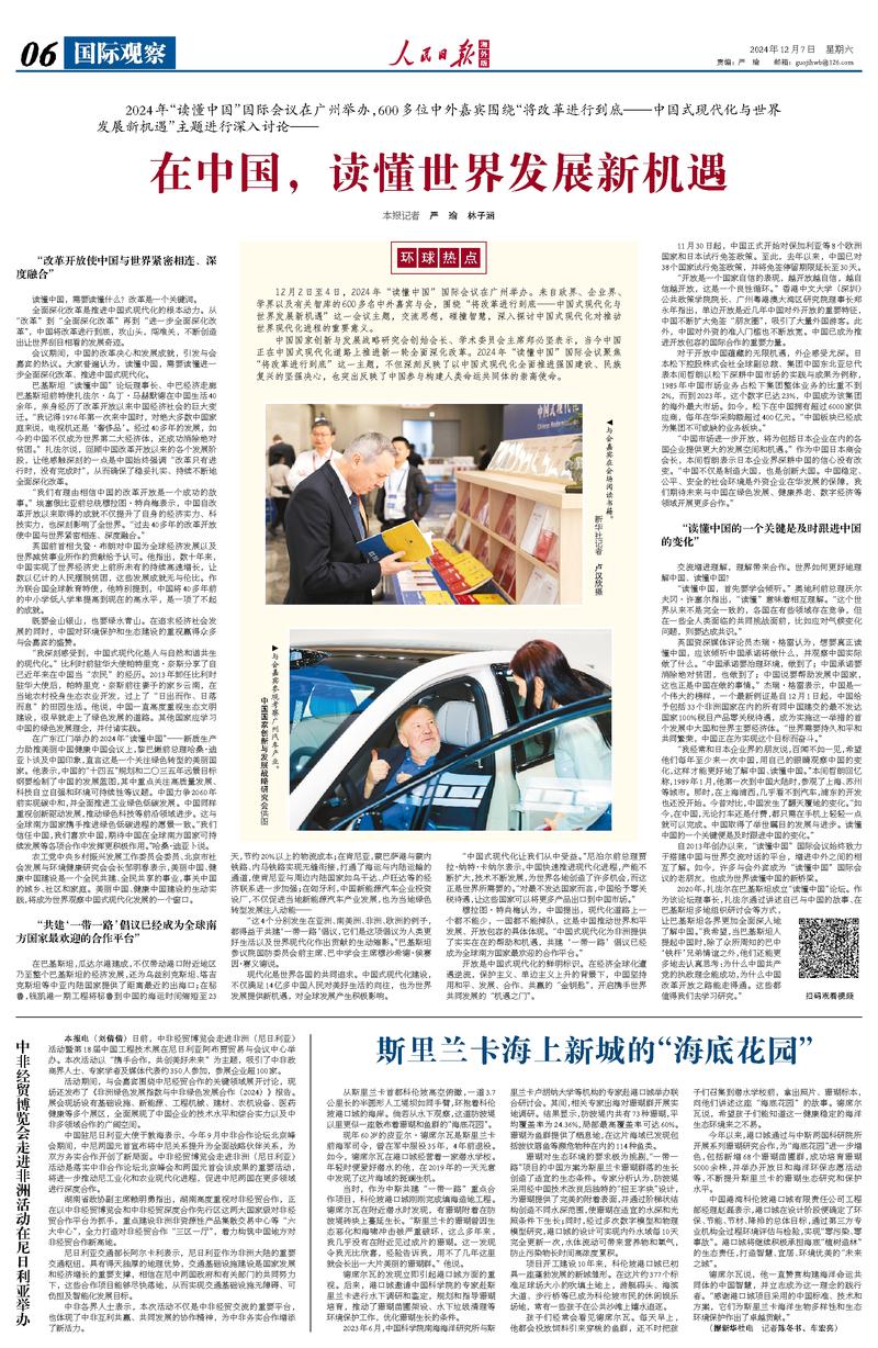国际观察员的职责与角色，深度解析，深度解析，国际观察员的职责与角色