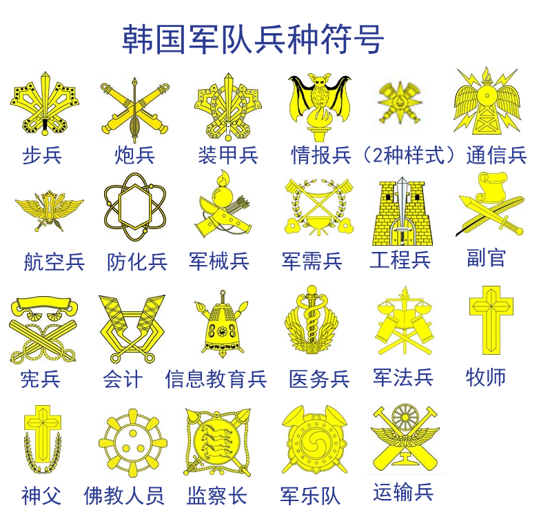 详细介绍/详解