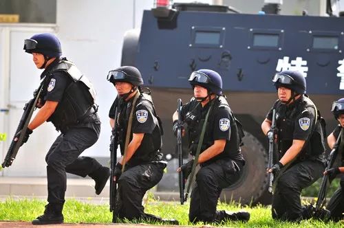 特警一个月工资多少，揭秘特警薪资结构及其影响因素，揭秘特警薪资结构，月薪揭秘及影响因素探讨