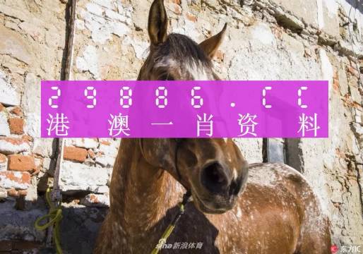 揭秘王中王三肖选一码的秘密，揭秘王中王三肖选一码神秘面纱