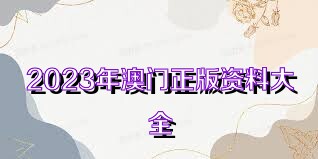 澳门资料大全正版资料，探索澳门，预见未来的2025年，澳门未来展望，探索正版资料，预见2025年发展蓝图