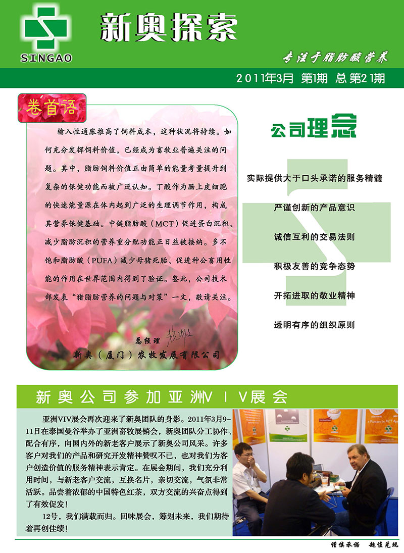 深度解析/剖析报告