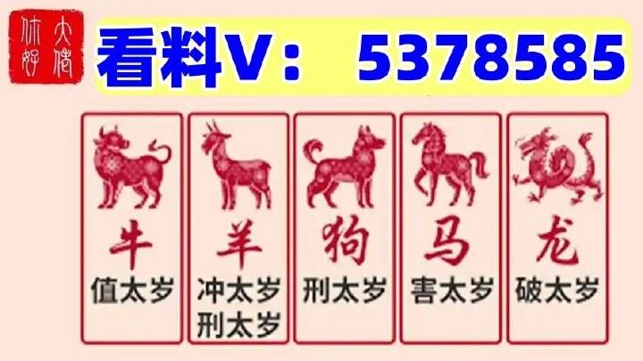 澳门马站最快开奖结果，揭秘彩票背后的秘密，澳门马站彩票开奖揭秘，探寻背后秘密与最快开奖结果