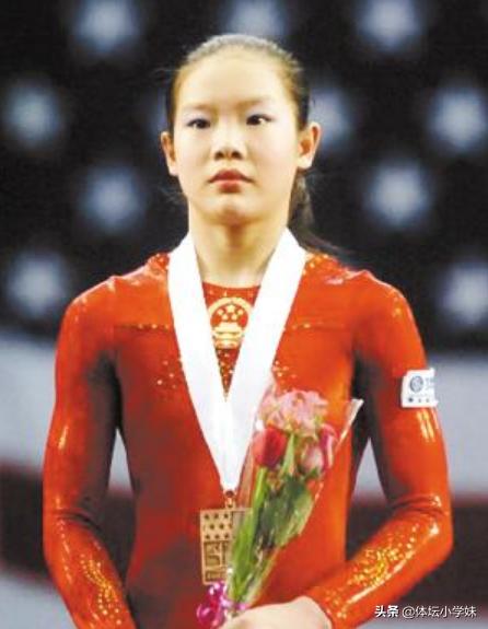 中国直-9直升机是否退役？全面解析其现状和未来展望，中国直-9直升机现状、未来展望及退役问题探讨