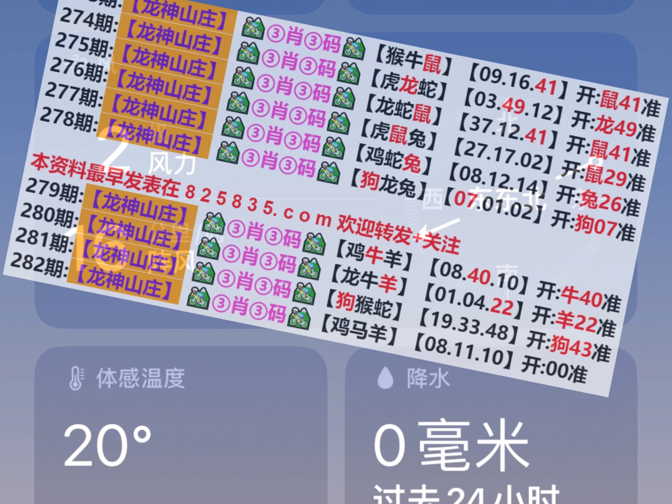 澳门选一肖一码期，揭秘预测技巧与策略，澳门选一肖一码期，预测技巧与策略揭秘