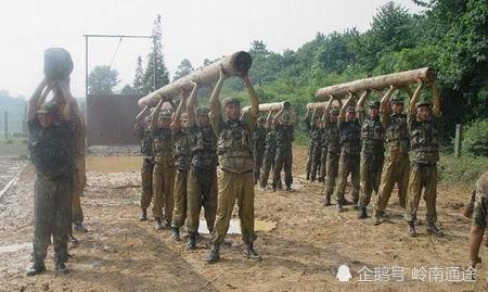 电影猎人学校，深度解析与探索，电影猎人学校，深度剖析与探索之旅