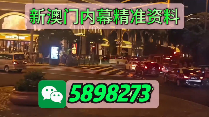 澳门今晚必开一肖一特，探索生肖与特码的魅力，澳门生肖特码揭秘，探索生肖与特码的魅力之夜