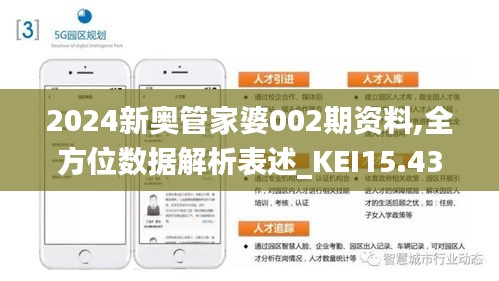 新奥管家婆资料正版，全面解析与SEO优化策略，新奥管家婆资料正版解析及SEO优化策略指南