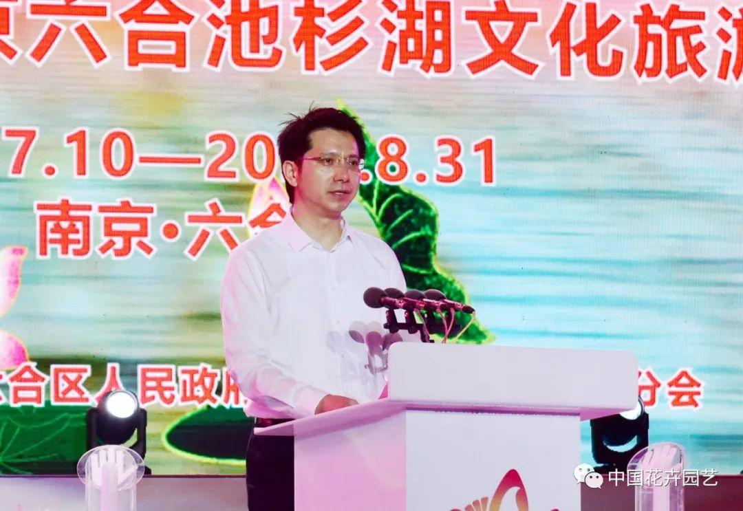 澳门六和开奖结果解析与预测，探索彩票背后的秘密，澳门六和开奖结果深度解析与预测，揭秘彩票背后的秘密之道