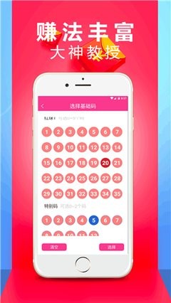王中王一肖二码资料，深度解析与SEO优化策略，王中王一肖二码资料深度解析与SEO优化策略探讨