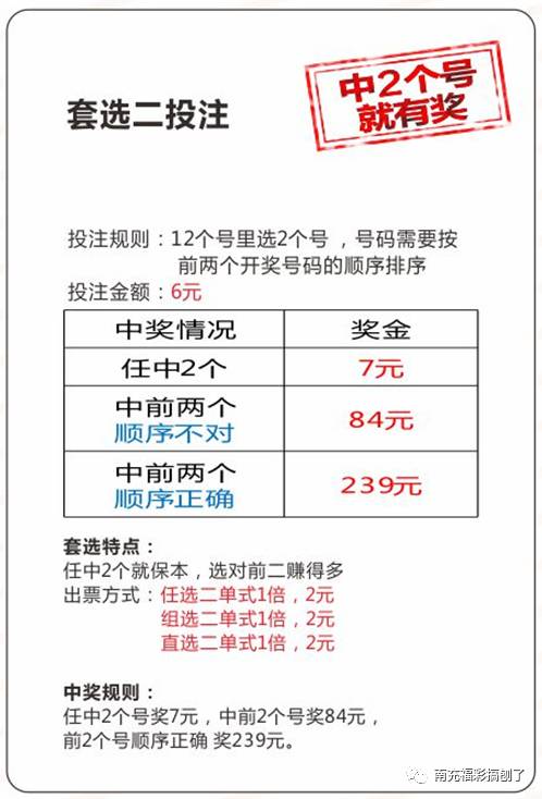 关于彩票中的两肖赔多少的解析，彩票两肖赔多少深度解析