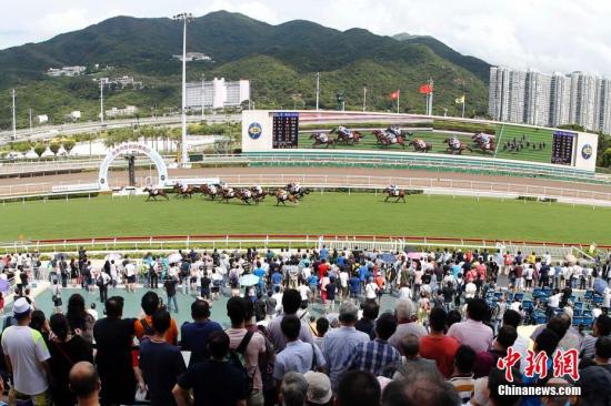 香港资料大全，正版资料2025年概览，香港资料大全，正版资料2025年概览