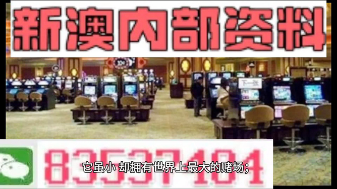 澳门精准免费大全，探索未来的预测与娱乐新境界（2024版），澳门精准免费大全，预测未来娱乐新境界（2024版概览）